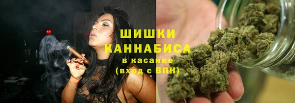 индика Балабаново