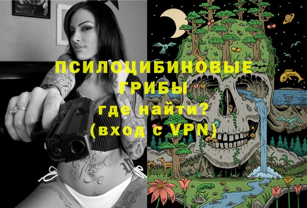ешки Балахна